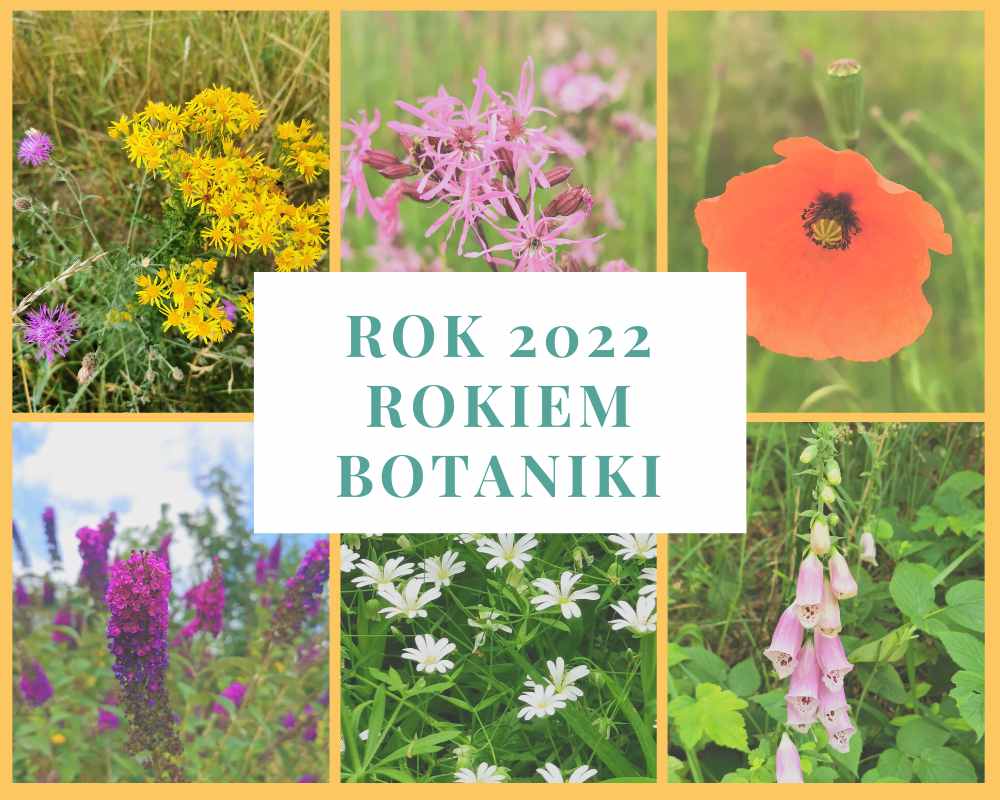 Rok 2022 Rokiem Botaniki